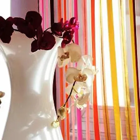 Albion Hotel Lourdes